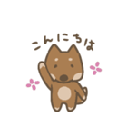 ぼくゴンちゃん（個別スタンプ：2）