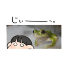 かえるに癒されてます（個別スタンプ：3）