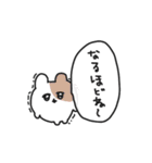 ふしぎフレンズ（個別スタンプ：36）