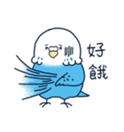 Bebe budgerigar 3 (オウム.鳥.tori)（個別スタンプ：24）