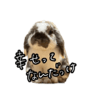 うさぎの本音2（個別スタンプ：14）