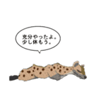 がけの下で(いたわるスタンプ)（個別スタンプ：2）