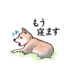 【敬語】保護犬の空(くう)ちゃん（個別スタンプ：4）