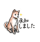 【敬語】保護犬の空(くう)ちゃん（個別スタンプ：8）