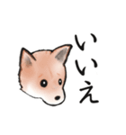 【敬語】保護犬の空(くう)ちゃん（個別スタンプ：14）