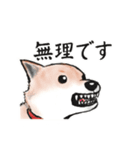 【敬語】保護犬の空(くう)ちゃん（個別スタンプ：15）