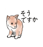 【敬語】保護犬の空(くう)ちゃん（個別スタンプ：17）