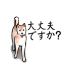 【敬語】保護犬の空(くう)ちゃん（個別スタンプ：21）