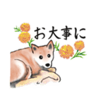 【敬語】保護犬の空(くう)ちゃん（個別スタンプ：22）