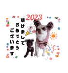 2023年 正月 ちょこもず（個別スタンプ：1）