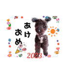 2023年 正月 ちょこもず（個別スタンプ：8）