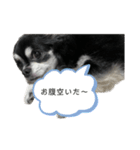 テチコ（個別スタンプ：7）