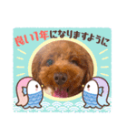もかちゃんクリスマス・お正月（個別スタンプ：2）