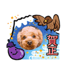 もかちゃんクリスマス・お正月（個別スタンプ：4）