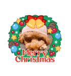 もかちゃんクリスマス・お正月（個別スタンプ：8）
