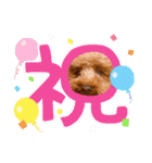 もかちゃんクリスマス・お正月（個別スタンプ：10）