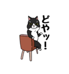 御猫様の所作（個別スタンプ：23）