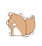 いつもいたずらな子犬（個別スタンプ：13）