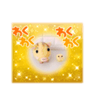 がるるちゃんとポンちゃん（個別スタンプ：5）