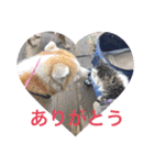 小鉄と神楽（個別スタンプ：3）
