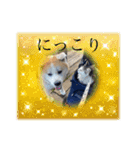 小鉄と神楽（個別スタンプ：6）