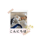 小鉄と神楽（個別スタンプ：10）