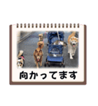 小鉄と神楽（個別スタンプ：16）