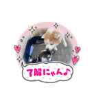 小鉄と神楽（個別スタンプ：18）