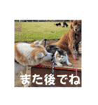 小鉄と神楽（個別スタンプ：23）