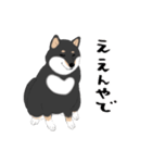 いつもの柴犬(黒柴ver.)（個別スタンプ：2）