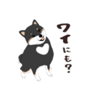 いつもの柴犬(黒柴ver.)（個別スタンプ：21）