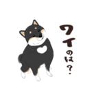 いつもの柴犬(黒柴ver.)（個別スタンプ：22）