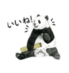 クリスタルアート Panda Design Stamps（個別スタンプ：4）