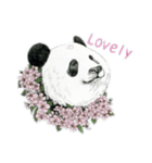 クリスタルアート Panda Design Stamps（個別スタンプ：10）