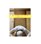 真藤の変顔 3（個別スタンプ：6）
