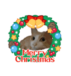 3匹のハチワレねこXmas＊お正月 ver.（個別スタンプ：1）