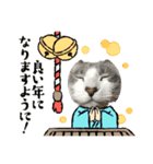 3匹のハチワレねこXmas＊お正月 ver.（個別スタンプ：11）