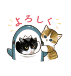 3匹のハチワレねこXmas＊お正月 ver.（個別スタンプ：16）