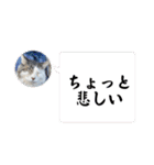 かぐちゃんマン（個別スタンプ：8）
