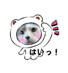 かぐちゃんマン（個別スタンプ：13）