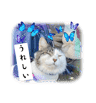 かぐちゃんマン（個別スタンプ：14）