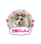 かぐちゃんマン（個別スタンプ：19）