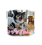 もかきなこ①（個別スタンプ：2）