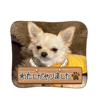 もかきなこ①（個別スタンプ：3）