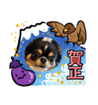 もかきなこ①（個別スタンプ：6）