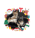 もかきなこ①（個別スタンプ：7）
