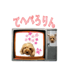 りりちゃん トイプー（個別スタンプ：17）