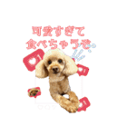 りりちゃん トイプー（個別スタンプ：18）