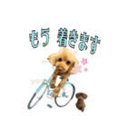 りりちゃん トイプー（個別スタンプ：20）