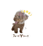 りりちゃん トイプー（個別スタンプ：22）